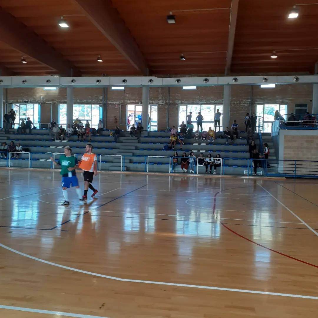 Volontari A.R.L.I.