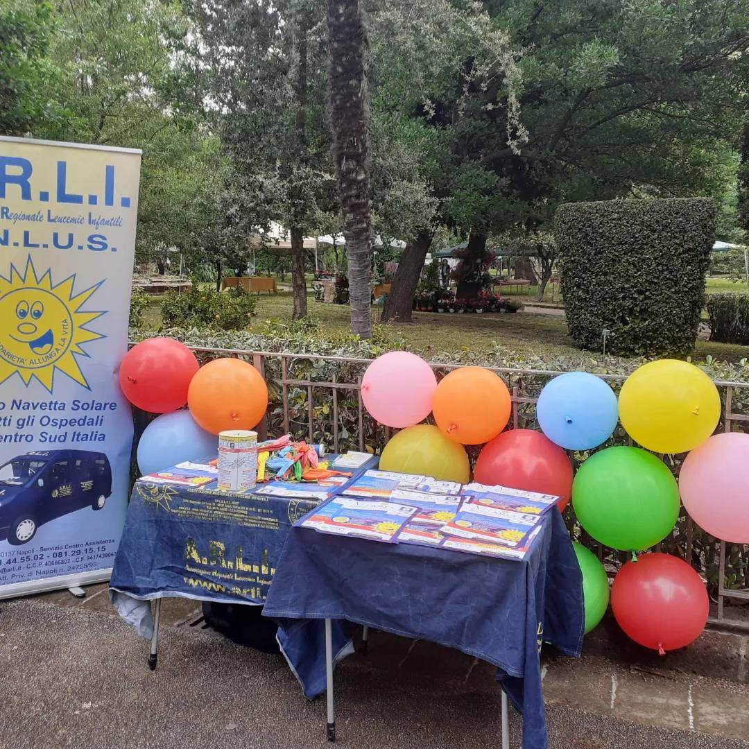 Attività A.R.L.I.